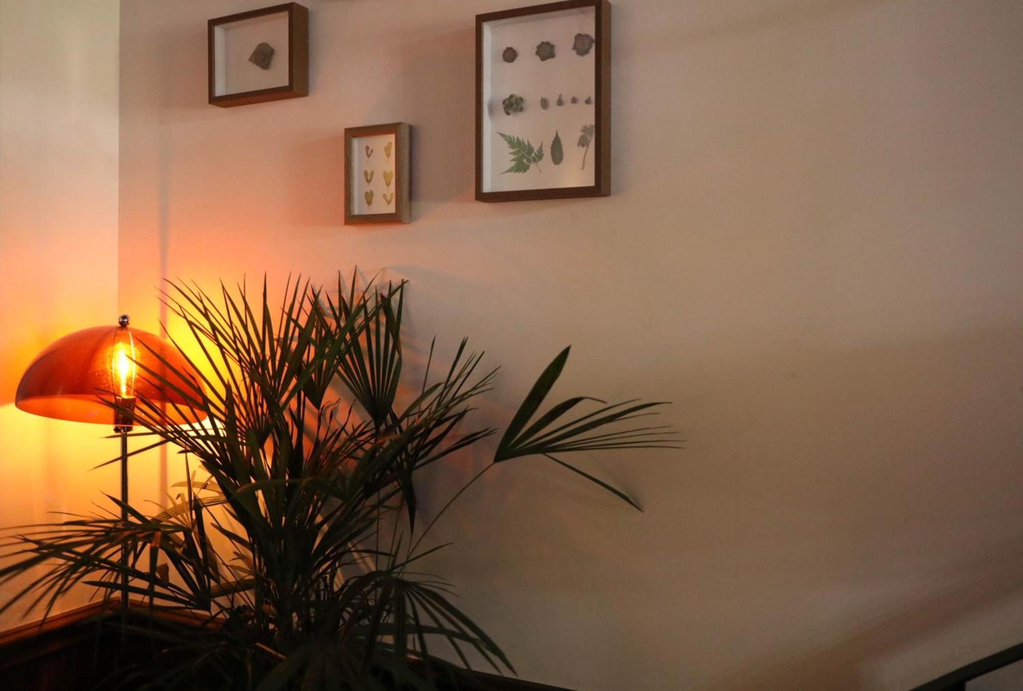 Sonderia Lazybones Hostel- Wenshu Temple Side, Chill Hostel With All-Day Brunch, Travel Agency In English & Local Bar Vibes צ'נגדו מראה חיצוני תמונה