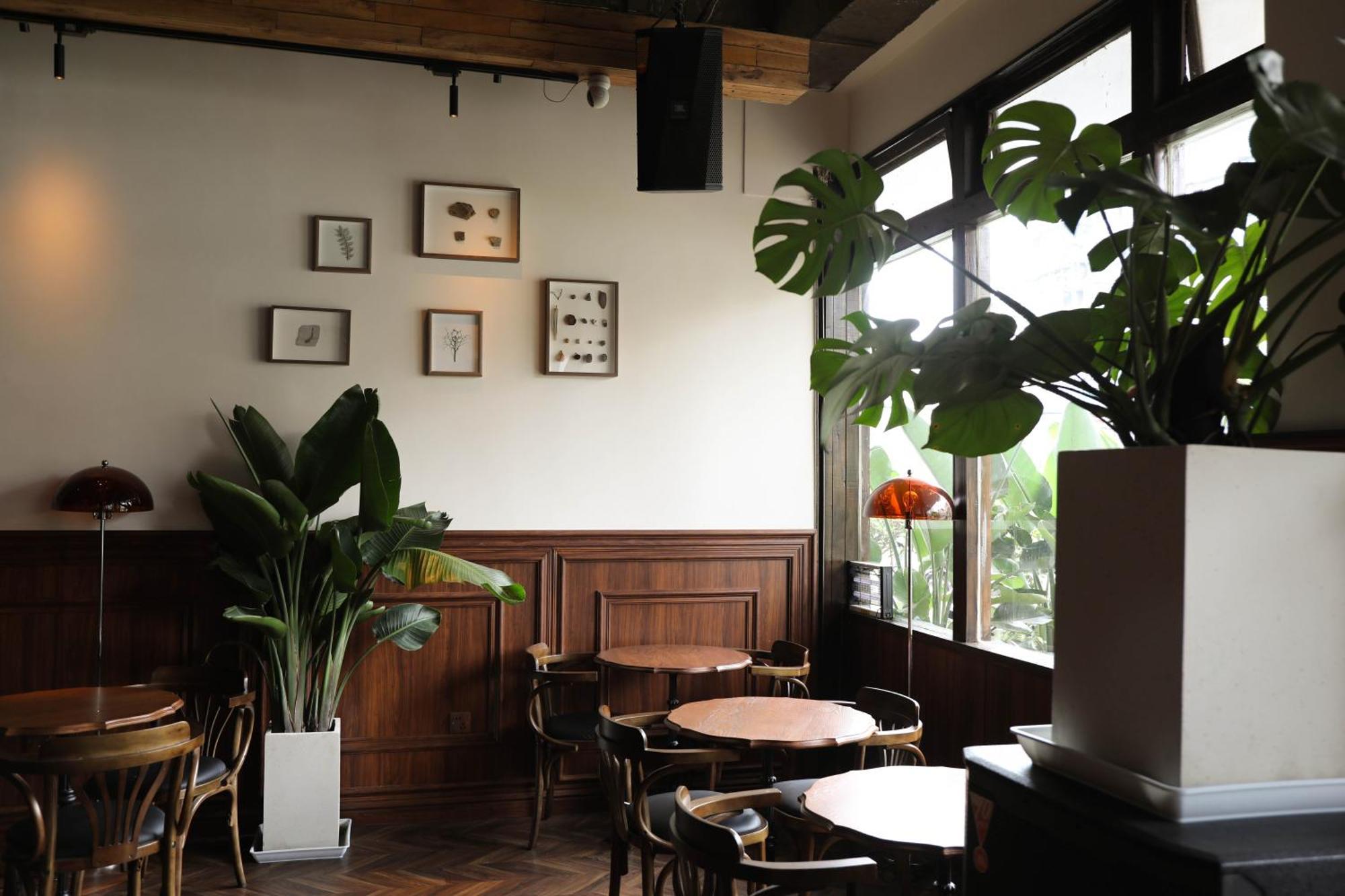 Sonderia Lazybones Hostel- Wenshu Temple Side, Chill Hostel With All-Day Brunch, Travel Agency In English & Local Bar Vibes צ'נגדו מראה חיצוני תמונה